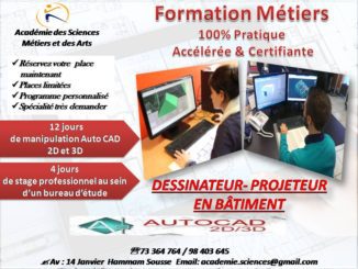 DESSINATEUR PROJETEUR FORMATION CONTINUE MÉTIERS Académie des Sciences Métiers et Arts