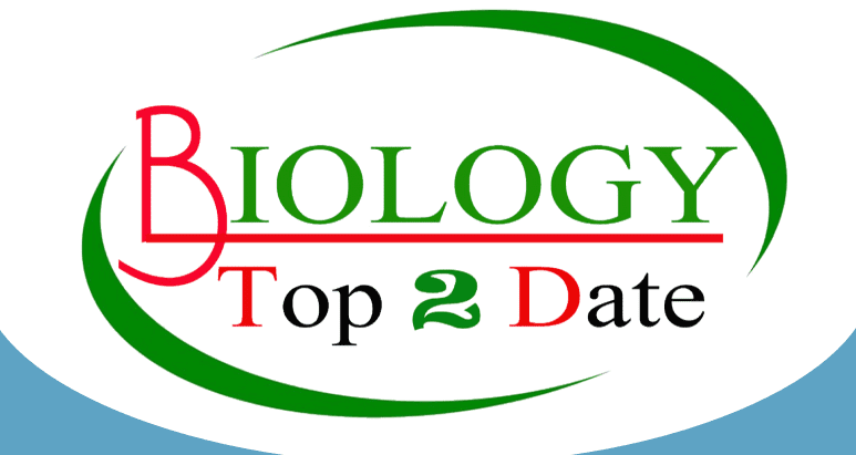 BIOLOGY TOP2 DATE : WORKSHOPS 2024 - ASMA