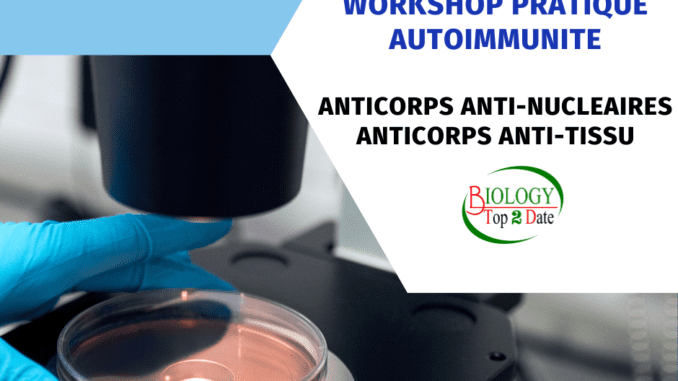WORKSHOP AUTOIMMUNITE